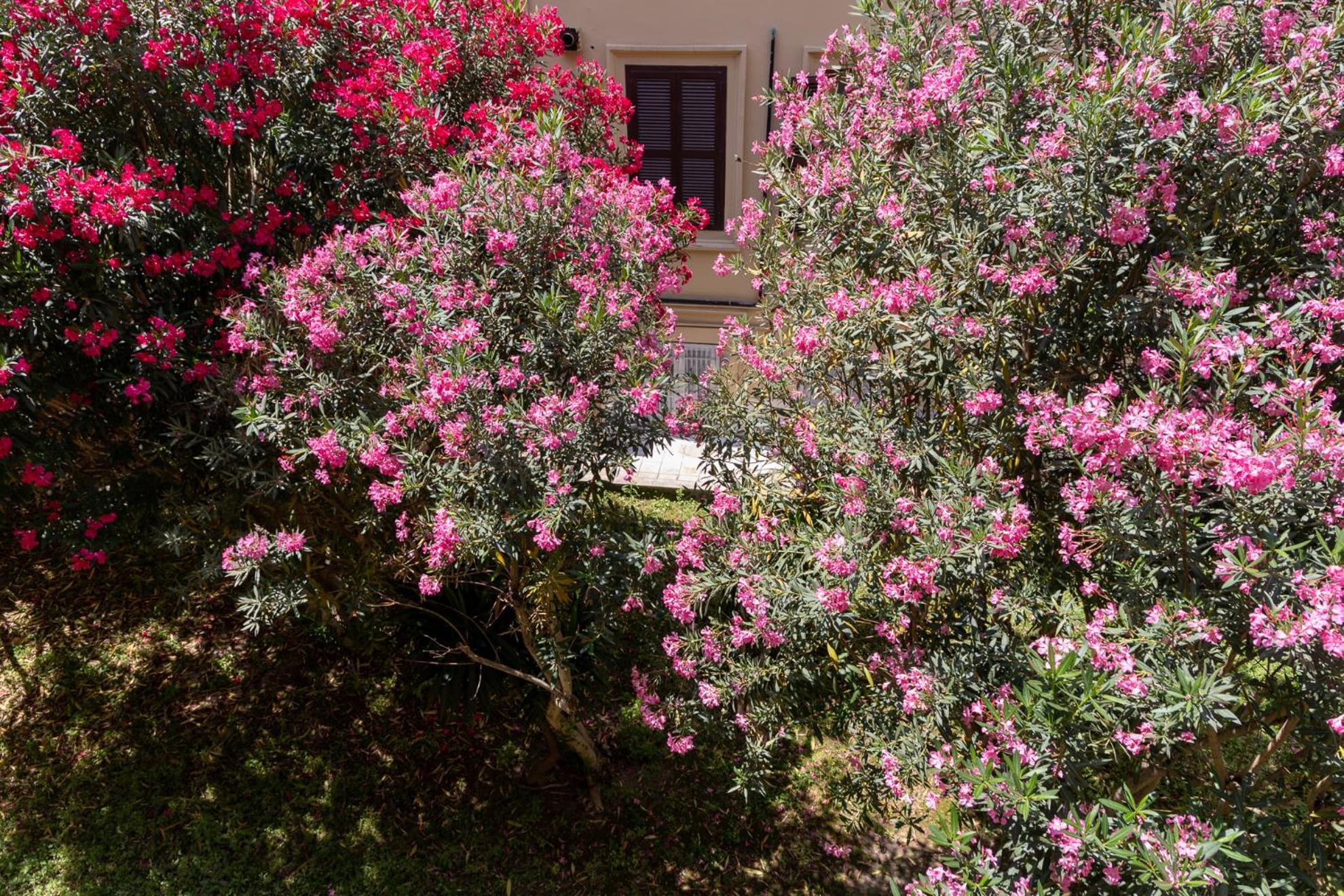 Casa de hóspedes San Pietro